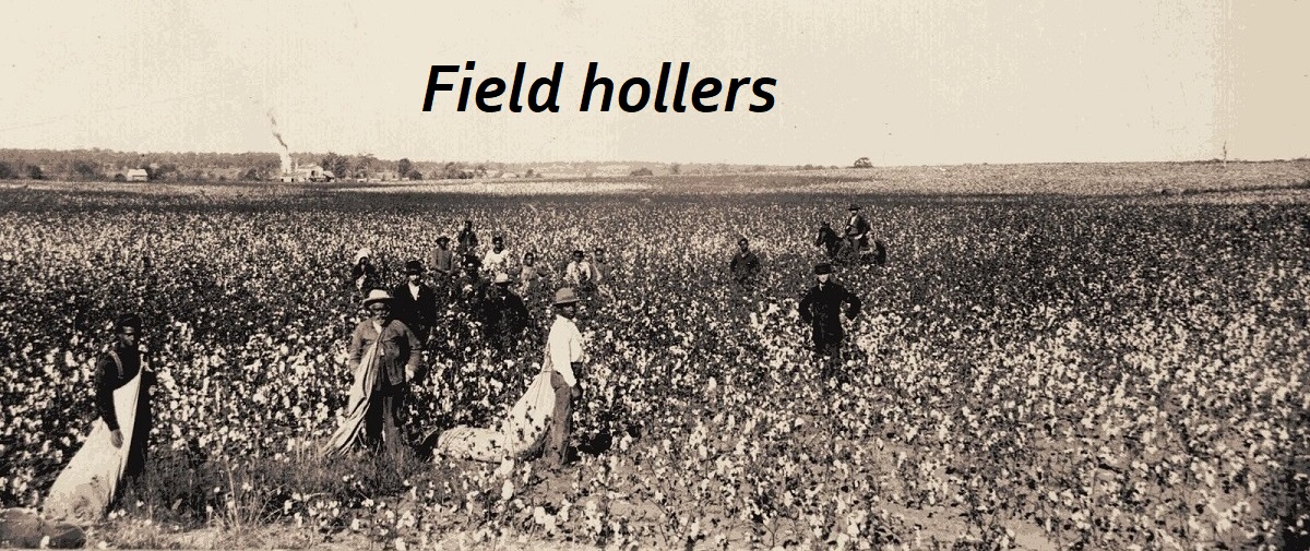cotton